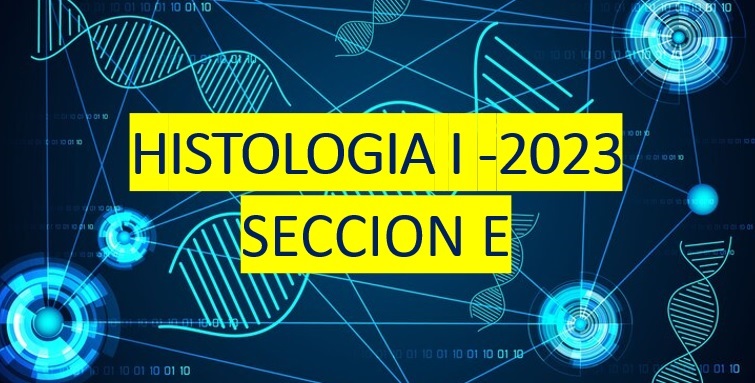 Course Image Histología I 2023 - SECCION E