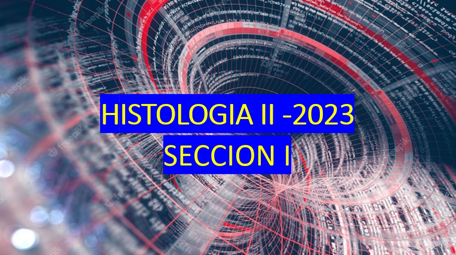Course Image Histología II 2023 - SECCION I